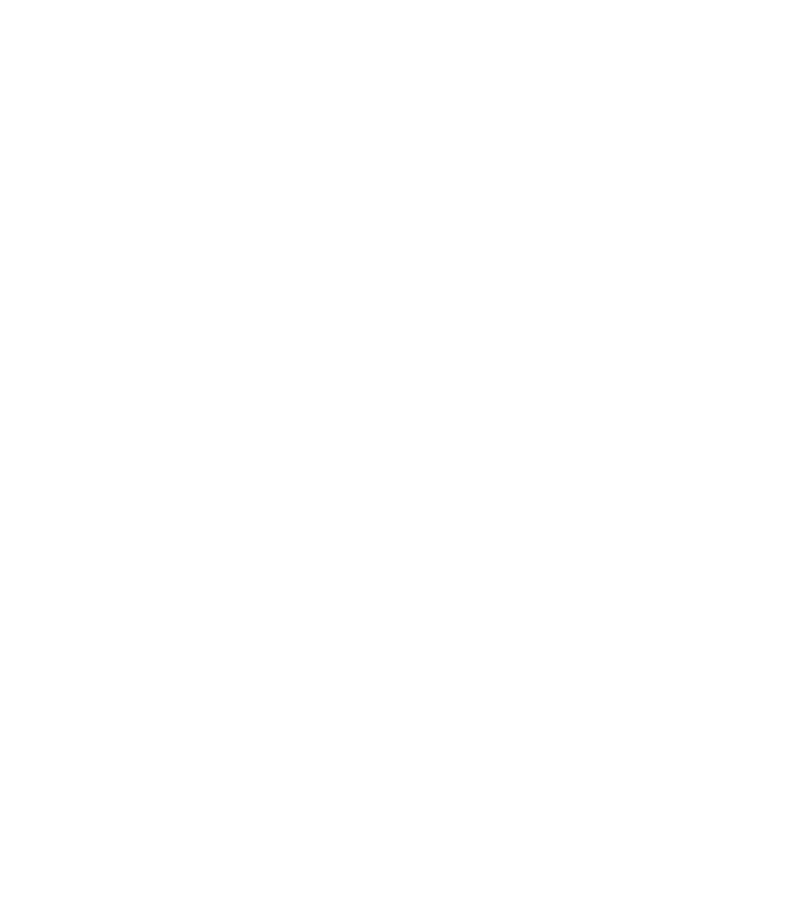 ZigIT Logo